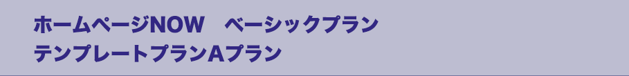 ホームページNOW　ベーシックプラン　テンプレートプランAプラン