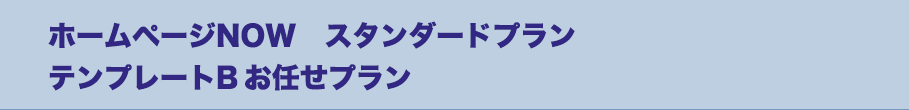 ホームページNOW　スタンダードプラン　テンプレートBお任せプラン