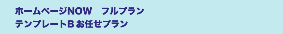 ホームページNOW　ベーシックプラン　テンプレートプランAプラン