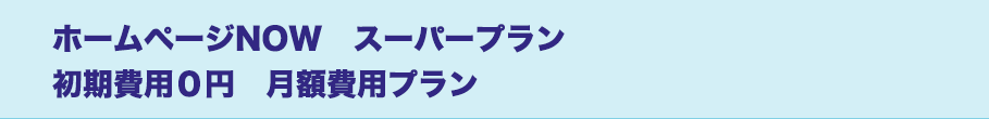 ホームページNOW　ベーシックプラン　テンプレートプランAプラン